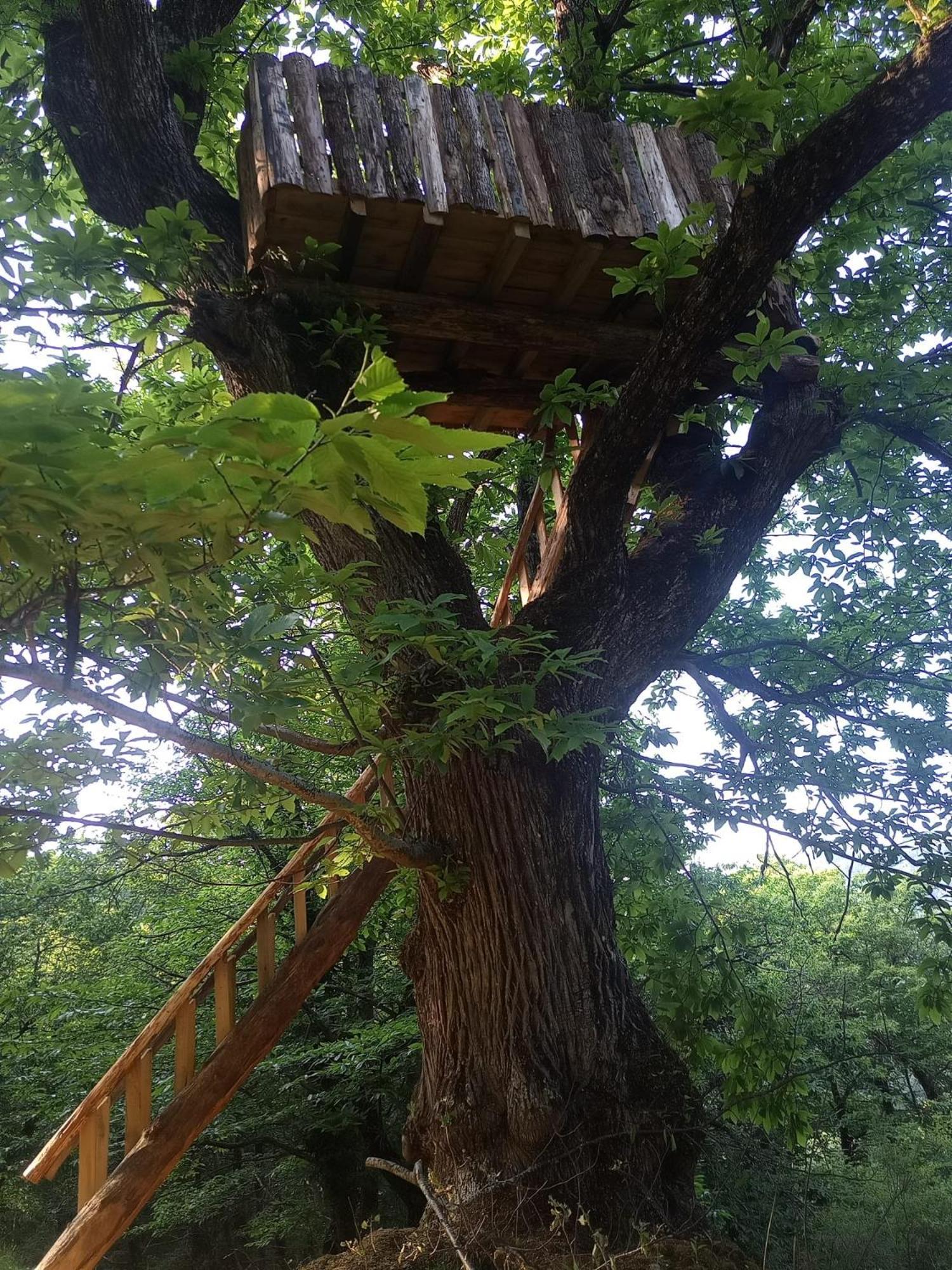 La Ferme Des Cevennes Otel Florac Dış mekan fotoğraf
