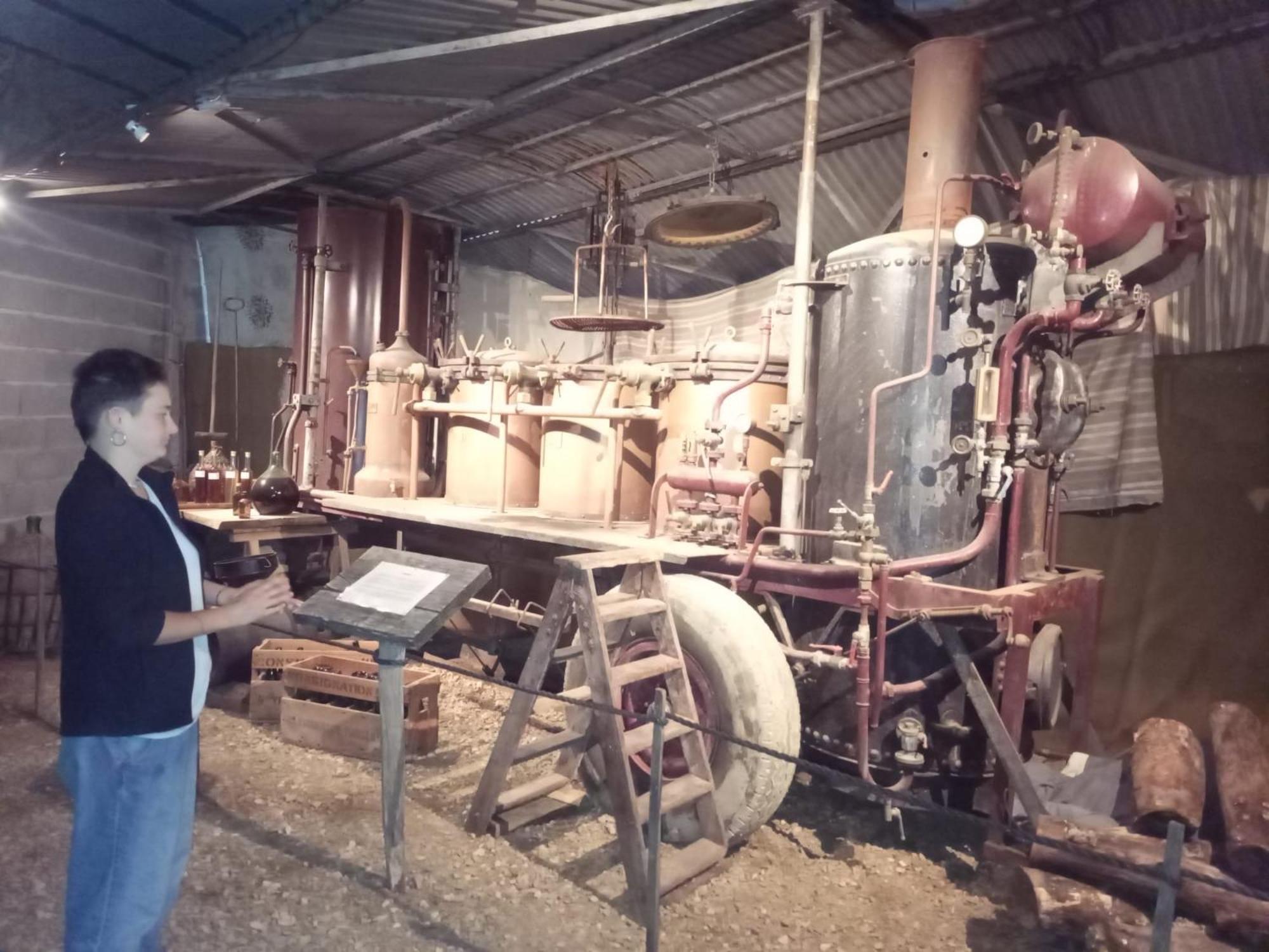 La Ferme Des Cevennes Otel Florac Dış mekan fotoğraf