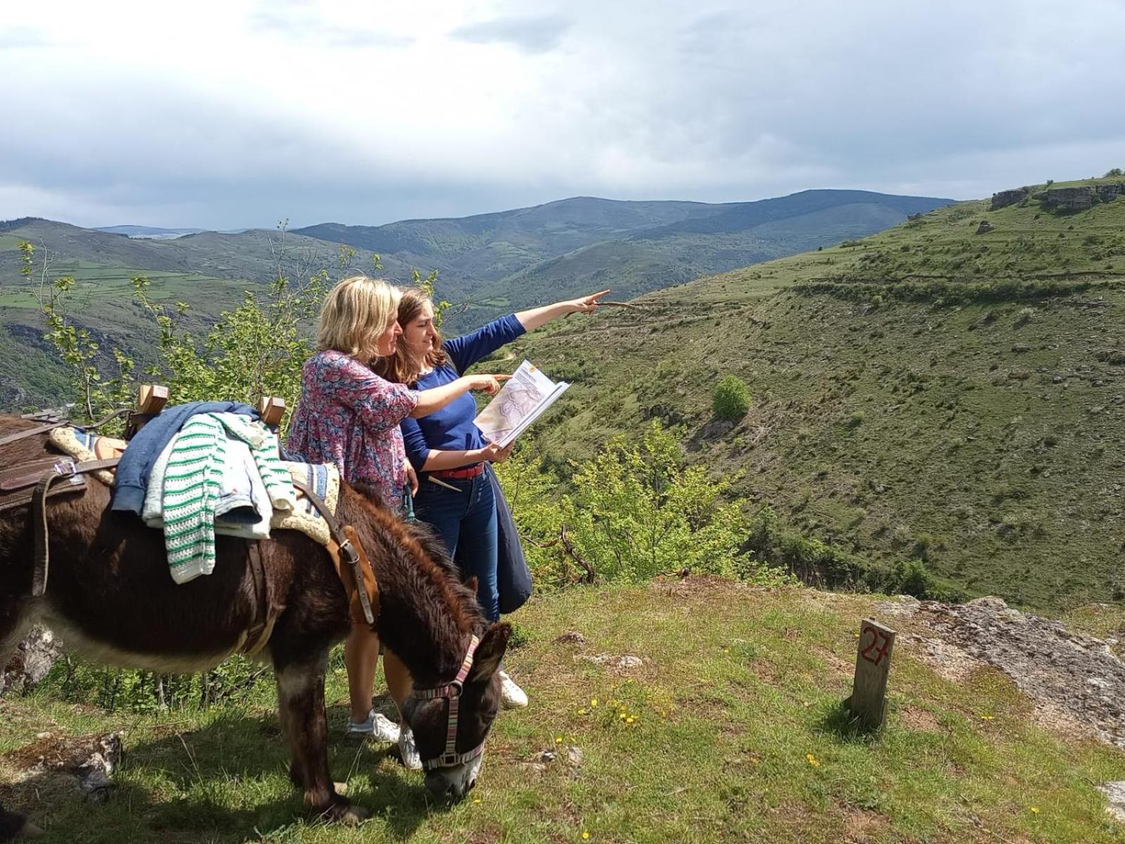 La Ferme Des Cevennes Otel Florac Dış mekan fotoğraf