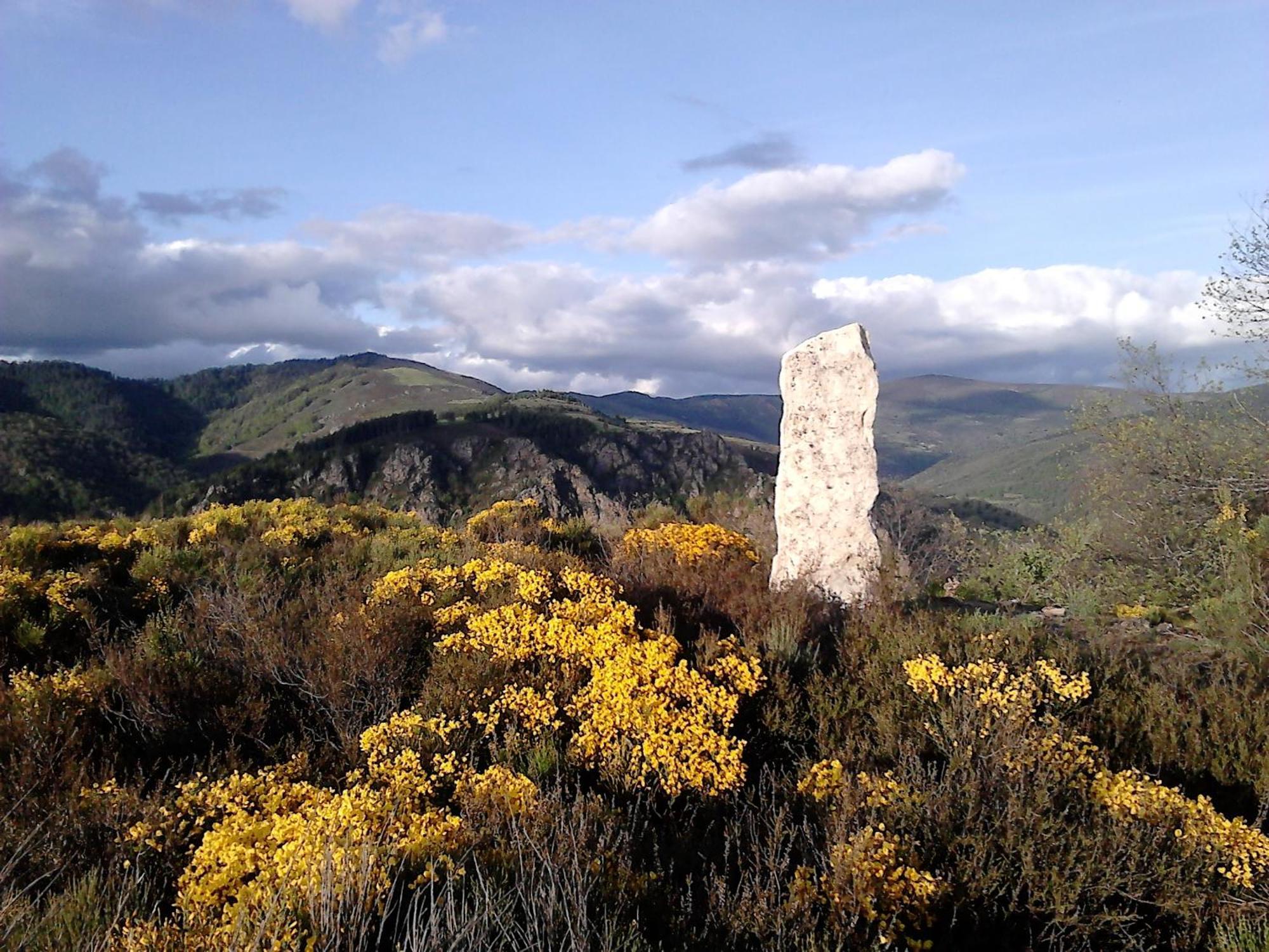 La Ferme Des Cevennes Otel Florac Dış mekan fotoğraf