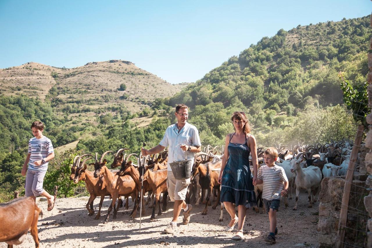 La Ferme Des Cevennes Otel Florac Dış mekan fotoğraf