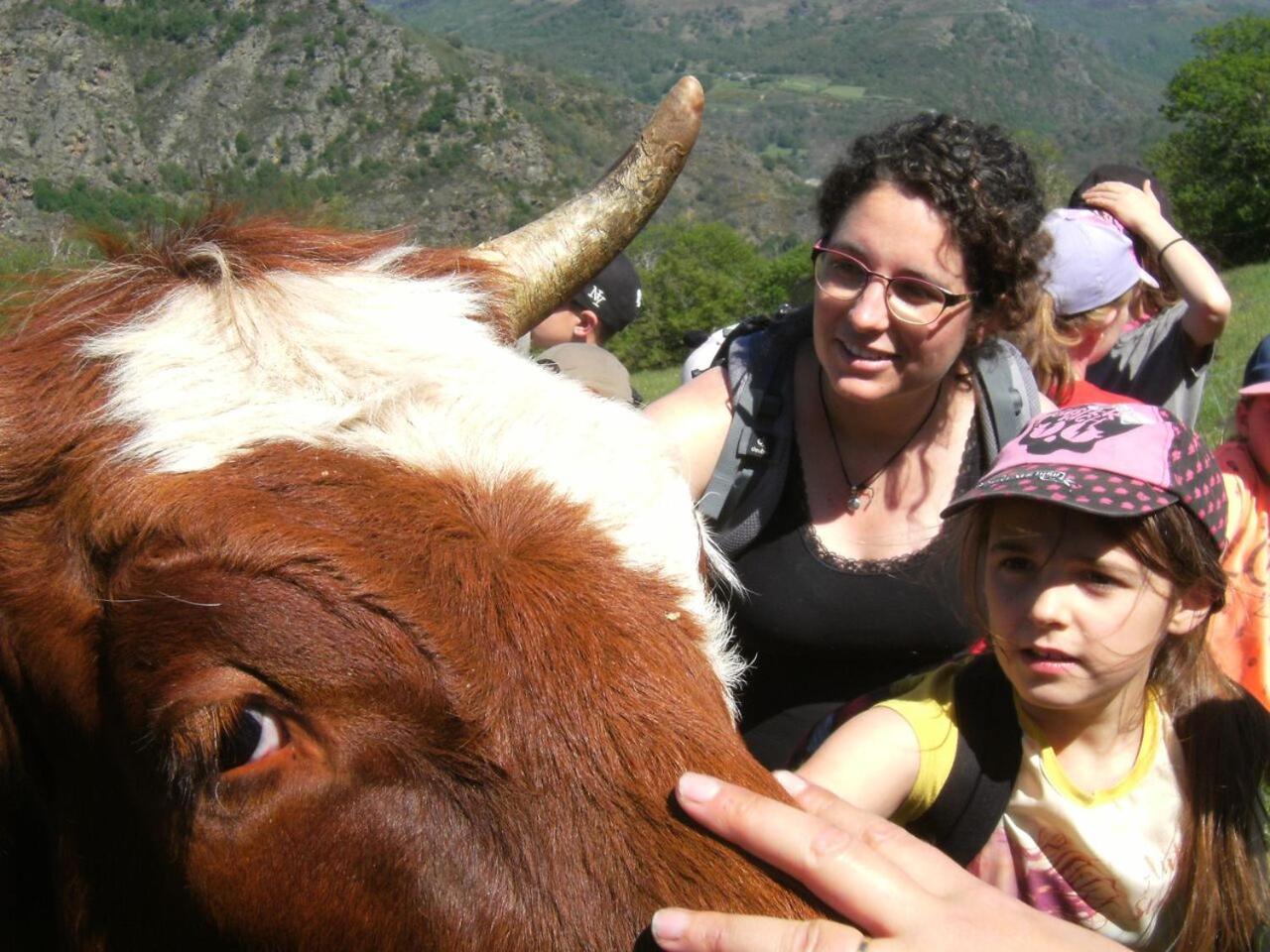 La Ferme Des Cevennes Otel Florac Dış mekan fotoğraf