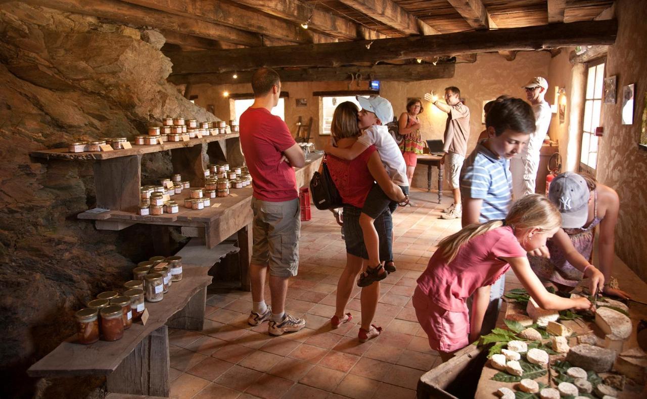 La Ferme Des Cevennes Otel Florac Dış mekan fotoğraf