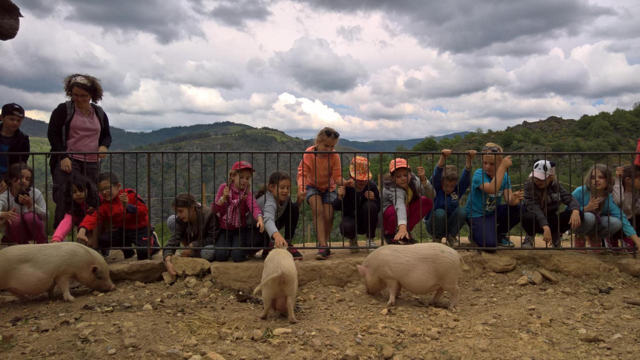 La Ferme Des Cevennes Otel Florac Dış mekan fotoğraf